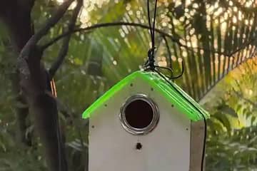 What is given for Bird House