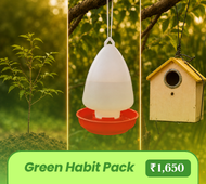 Help Birds Survive Summer